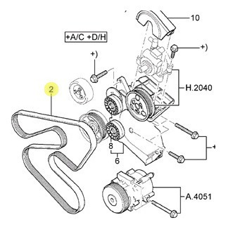 Correa Poliv Ford Ka Fiesta Escort 6pk 2239 Caa Cdh Original