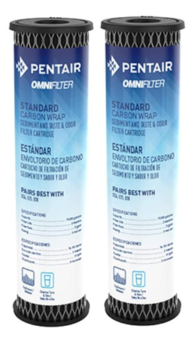 Pentair Omnifilter To1 Filtro De Agua De Carbono, 10 Pulgada