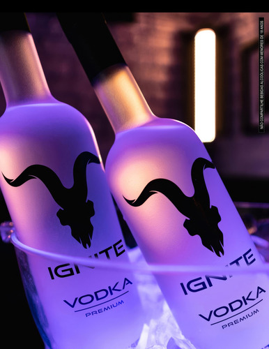 Vodka Premium Ignite Beverage 750ml - 40% Alcool Sem GlĂșten
