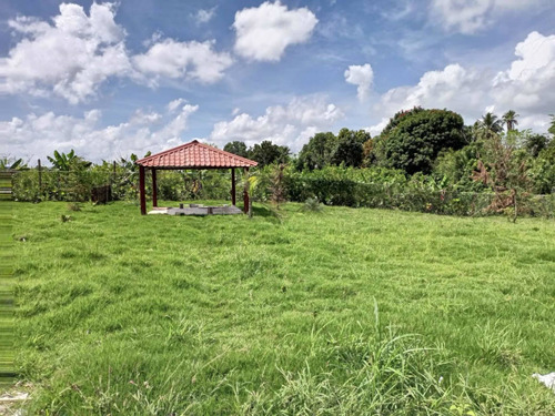 Vendo Esta Finca De 460 Tareas En Monte Plata