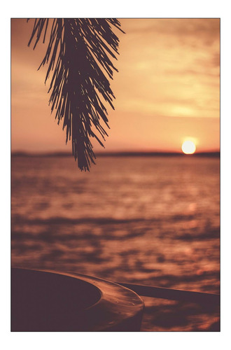 Vinilo Decorativo 40x60cm Palmera Playa Arena Verano M4