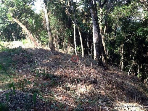Imagem 2 de 3 de Terreno Residencial À Venda, Morada Do Sol, Santana De Parnaíba - Te0393. - Te0393
