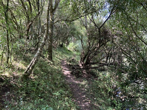 10 Has De Campo Sobre Ruta 13 A Minutos De Aiguá. Un Lugar De Descanso Ideal!