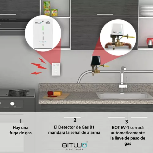 Detector De Gas Lp, Natural Y Monoxido De Carbono, Bitwo Modelo A1