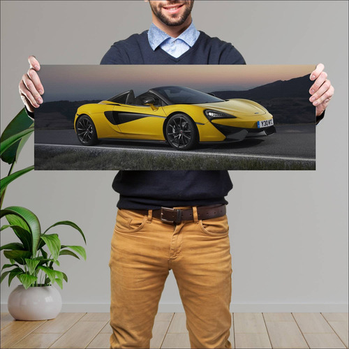 Cuadro 30x80cm Auto 2017 Mclaren 570s Spider 671 186