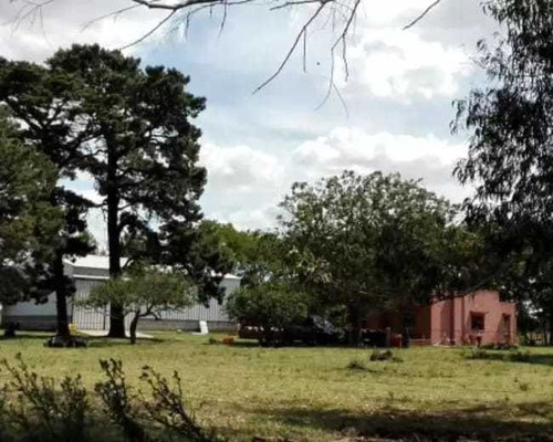 Imagen 1 de 10 de Chacra En Venta San Agustín, Balcarce