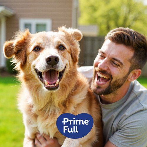 Ração Prime Full Alimento Premium Especial Natural Completo Para Cães Adultos Raças Médias E Grandes 10,1kg