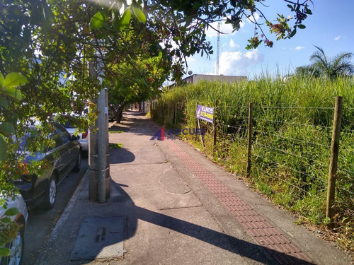 Imagem 15 de 16 de Terreno 4000 M² São Bento (bh) Venda - 11015