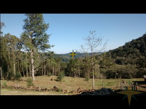 Imagem 4 de 12 de Sítio Com Excelente Localização - 484