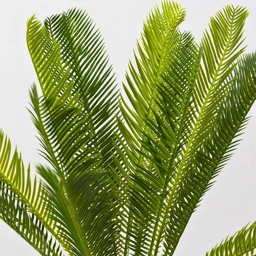 Planta Artificial Palmera Cycas Con Textura Realista 70cm Color Verde Oscuro