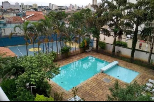 Imagem 13 de 21 de Apartamento Vila Matilde 3 Dorms, 1 Vaga - 3577 Lpp - 69950147
