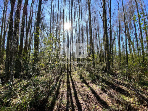 Venta De Parcela Sector Lliu-lliu | Km 12 Villarricaloncoch