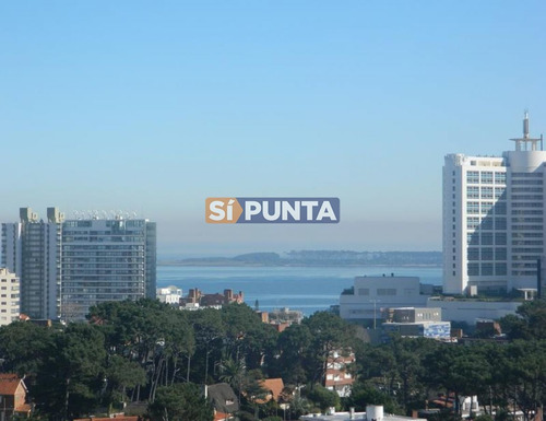 Imagen 2 de 30 de Brava, Edificio Con Servicios