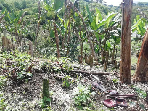 Imagen 27 de 30 de Vendo Finca En Avenida Condina Precio De Oportunidad