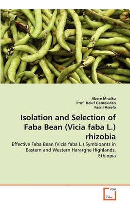 Libro Isolation And Selection Of Faba Bean (vicia Faba L....