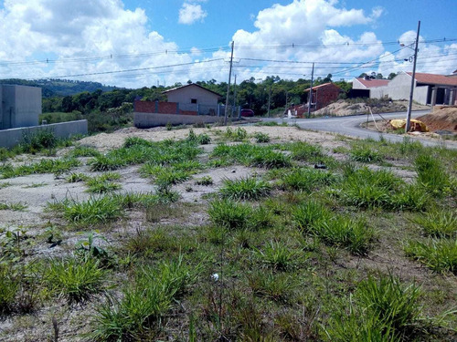 Imagem 2 de 7 de Lote Urbano De 250-m^2