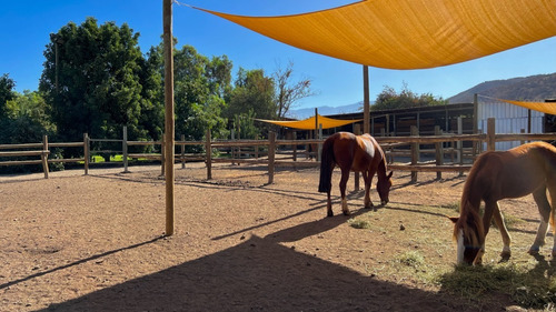 Parcela Con Caballerizas Y Corrales
