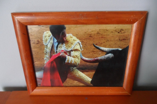 Fotografía Taurina Torero Enrique Ponce Tauromaquia Toros