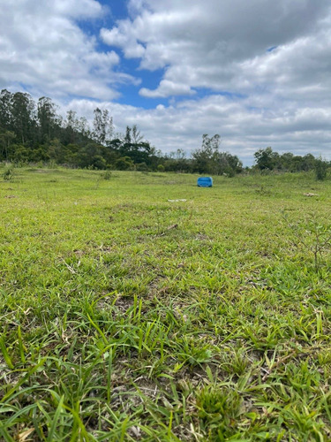 Imagem 11 de 14 de S01- 1.000m² Apenas 49.990 /100% Plano
