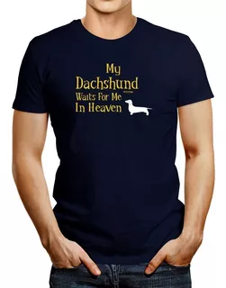 Idakoos Polo My Dachshund Waits For Me In Heaven