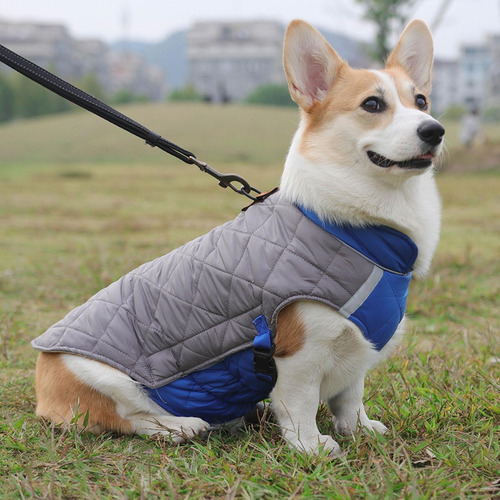 (g-2xl) Chaleco Reflectante Para Perros Con Anillo En D Para