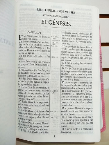 Biblia Rvr1909 (antigua) Letra Grande Imitación Piel Rosa