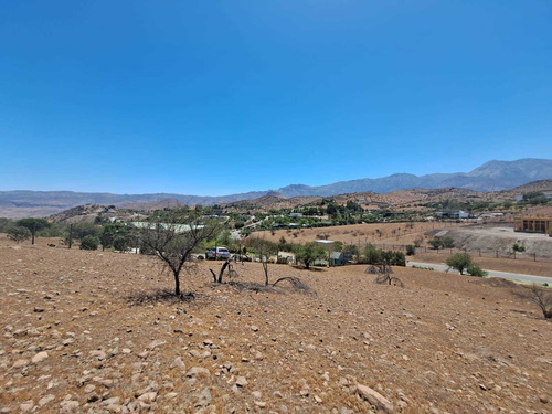 Imagen 6 de 11 de Hacienda De Chacabuco. Excelente Sitio En Venta