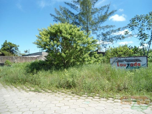 Terreno Para Venda Em Peruíbe, Jardim Ribamar - 0267_2-224436