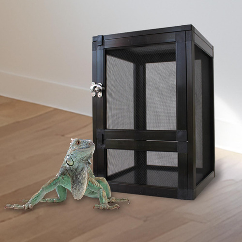 Caja De Cría De Hábitat Para Reptiles, Caja Negro