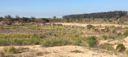 Imagen 4 de 4 de Terreno Campo En Venta En Campana, G.b.a. Zona Norte, Argentina