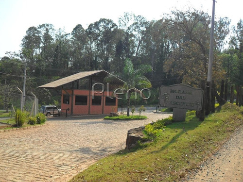 Imagem 1 de 15 de Terreno À Venda Em Joaquim Egídio - Te028079