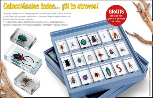Revista Bichos # 1 Escorpion Dorado - China Y Fascículo (Usado)