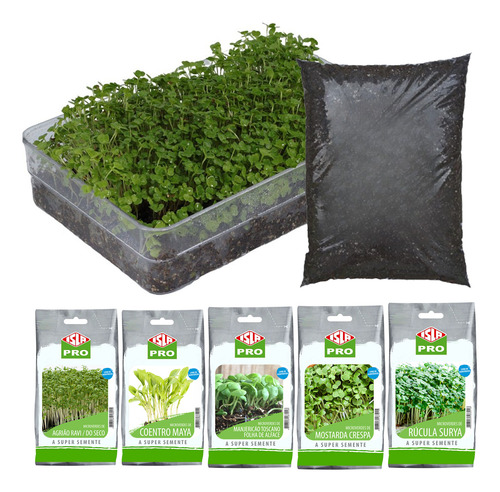 Kit Completo Microverdes 5 Tipos Sementes 100g 5 Bandejas
