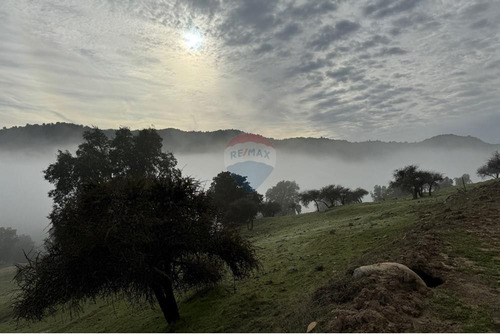 Terreno Con Hermosa Vista