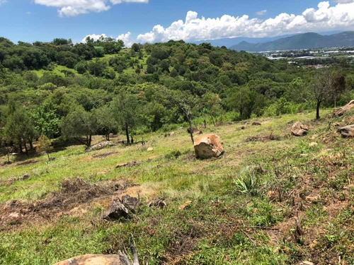 Imagen 5 de 12 de Terreno De 3.5 Hectáreas En San Antonio Zumpahuacan