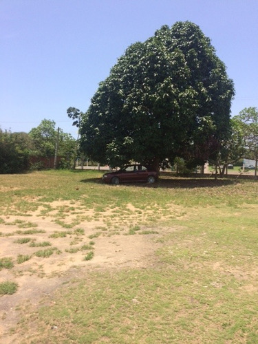 Imagem 10 de 20 de Excelente Granja 04 Hec, Paratibe Próximo Ct Do Sport, Aceito Imóvel Ou Automóvel - Ch00010