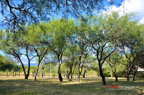 Imagen 5 de 14 de Lote 1045m2, Venta, Cerro De Oro, Villa De Merlo, San Luis