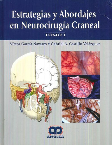 Libro Estrategias Y Abordajes En Neurocirugía Craneal - 2 To