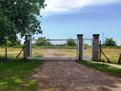 Nave Industrial - Zarate