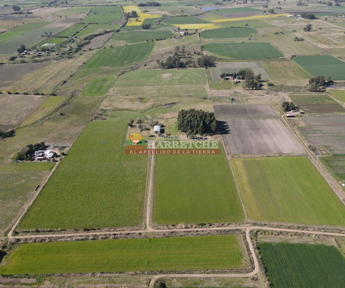 Campo En Venta 18 Has Canelones, Con Todas Las Instalaciones!