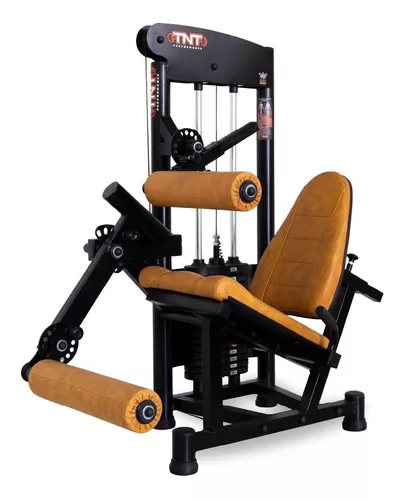 Cadeira Extensora E Flexora + Leg Press 45