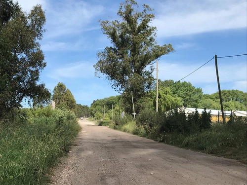 Charca/quinta Sobre Ruta 226 Km 21