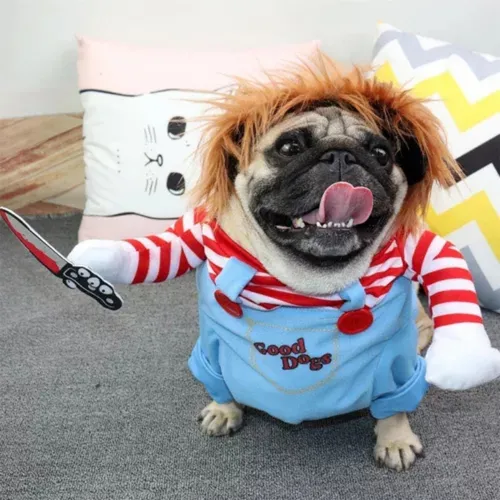 Lindo Disfraz De Perrito For Cosplay
