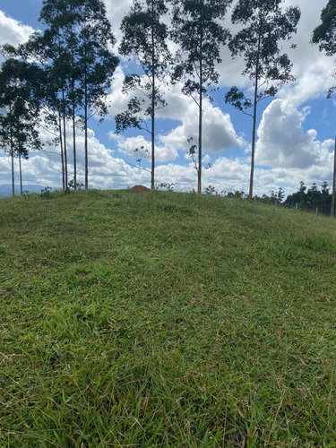 Imagem 7 de 21 de K06- Tenho O Terreno Que Você Procura