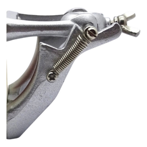 Tipodonto Adulto 32 Dientes A8012 Tipo Nissin Dt