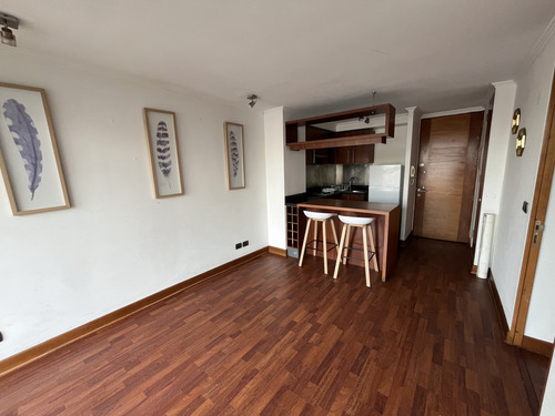 Arriendo Departamento 1 Dormitorio Providencia