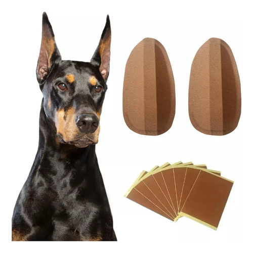 2x Mascota Perro Oreja Soporte Corrector Herramienta Perro