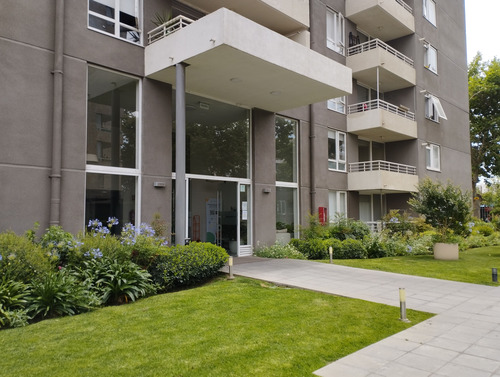 Arriendo Amplio Departamento 1d 1b Y Bod San Miguel