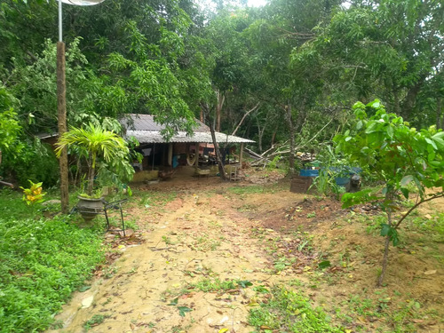 Propriedade Rural Produtiva, Com 03 Tanques De Piscicultura.