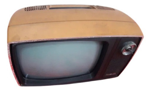 Antiguo Televisor 14.  Philco Ford B/n ( Sólo Enciende)